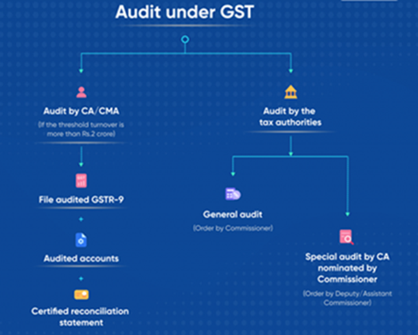 captainbiz audit under gst