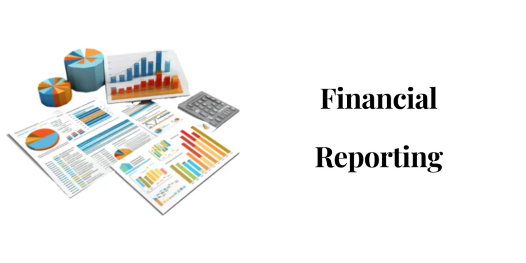 captainbiz financial reporting