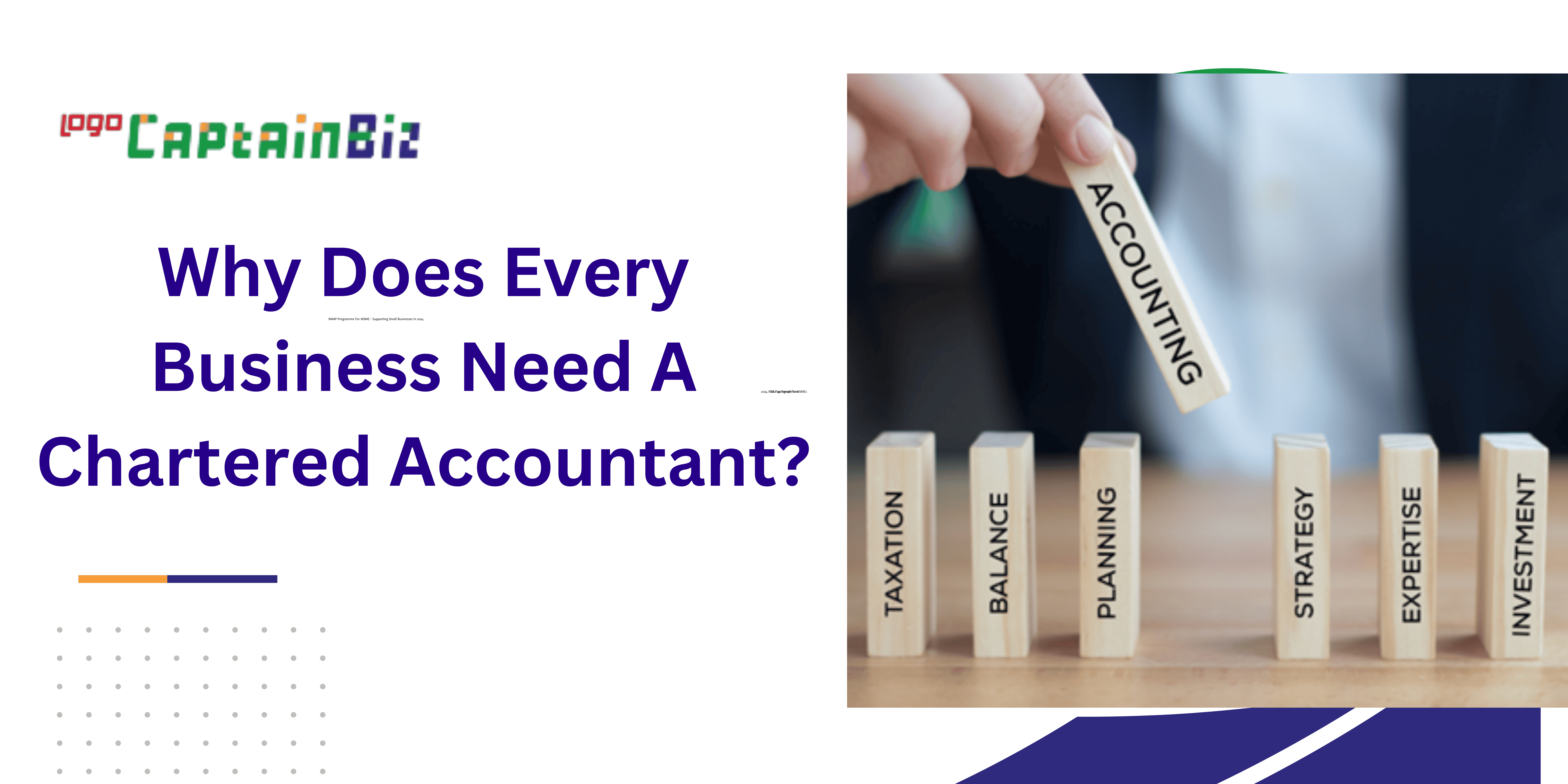 why does every business need a chartered accountant