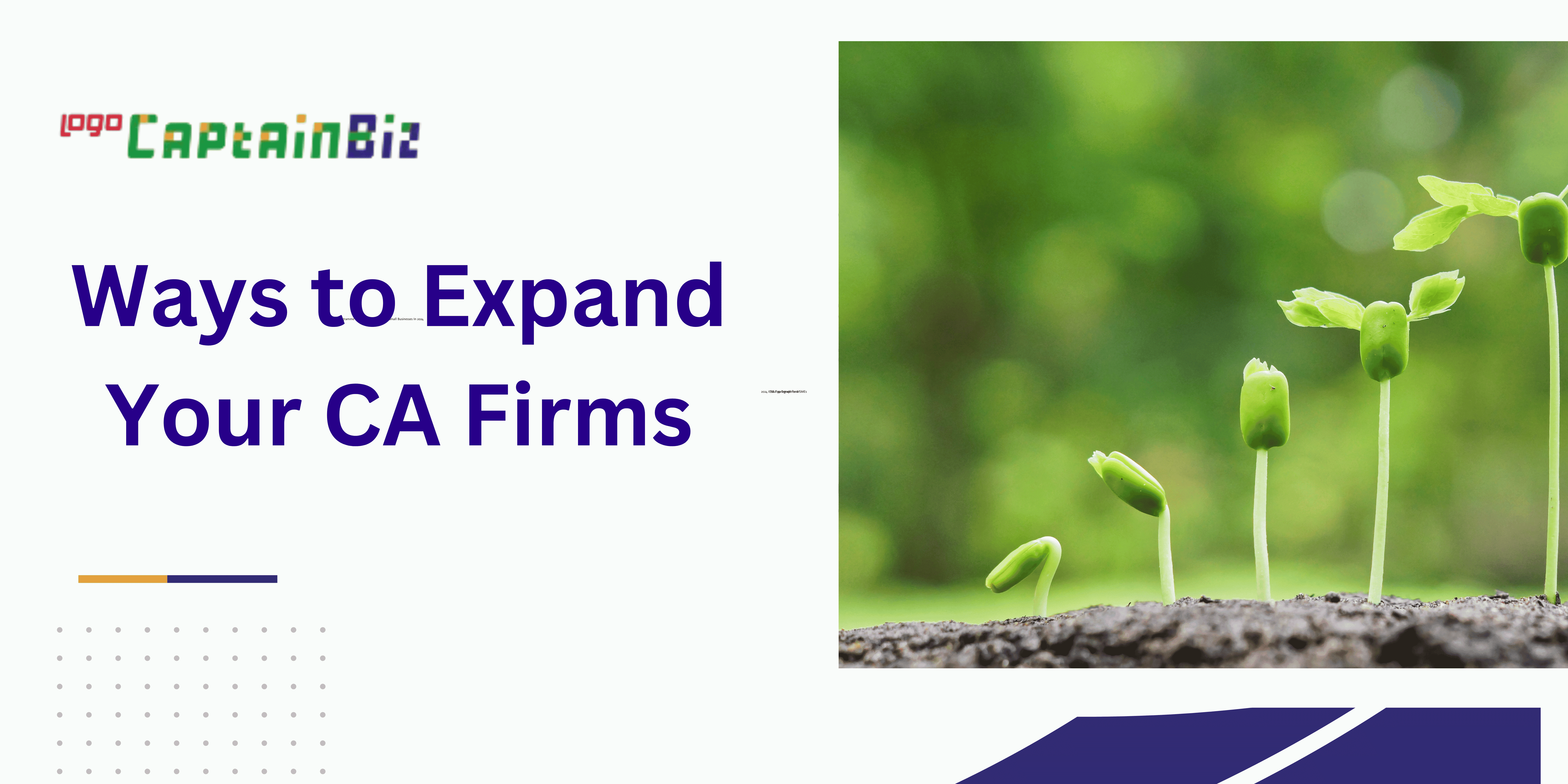 Ways to Expand Your CA Firms