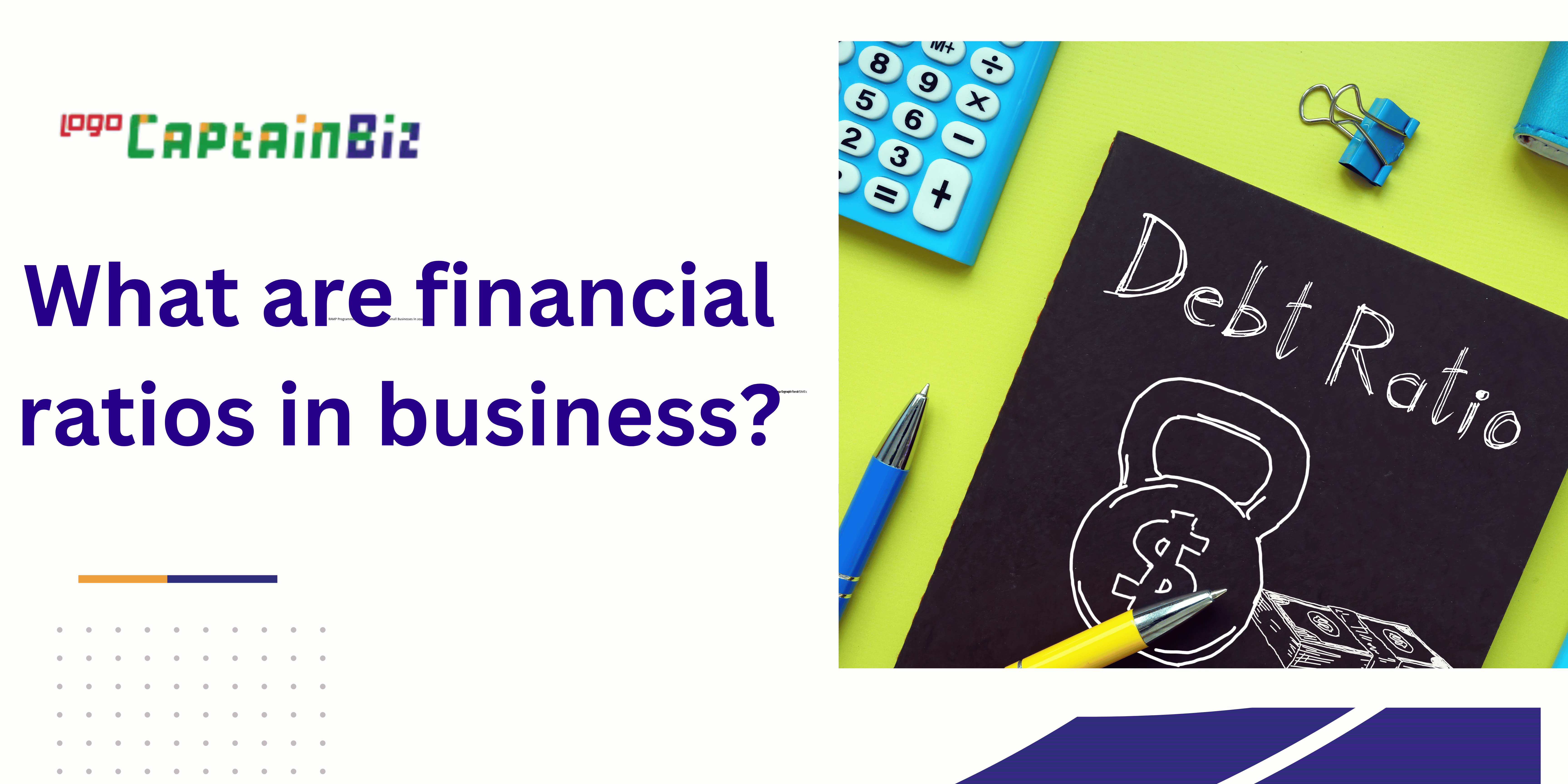 What are financial ratios in business?