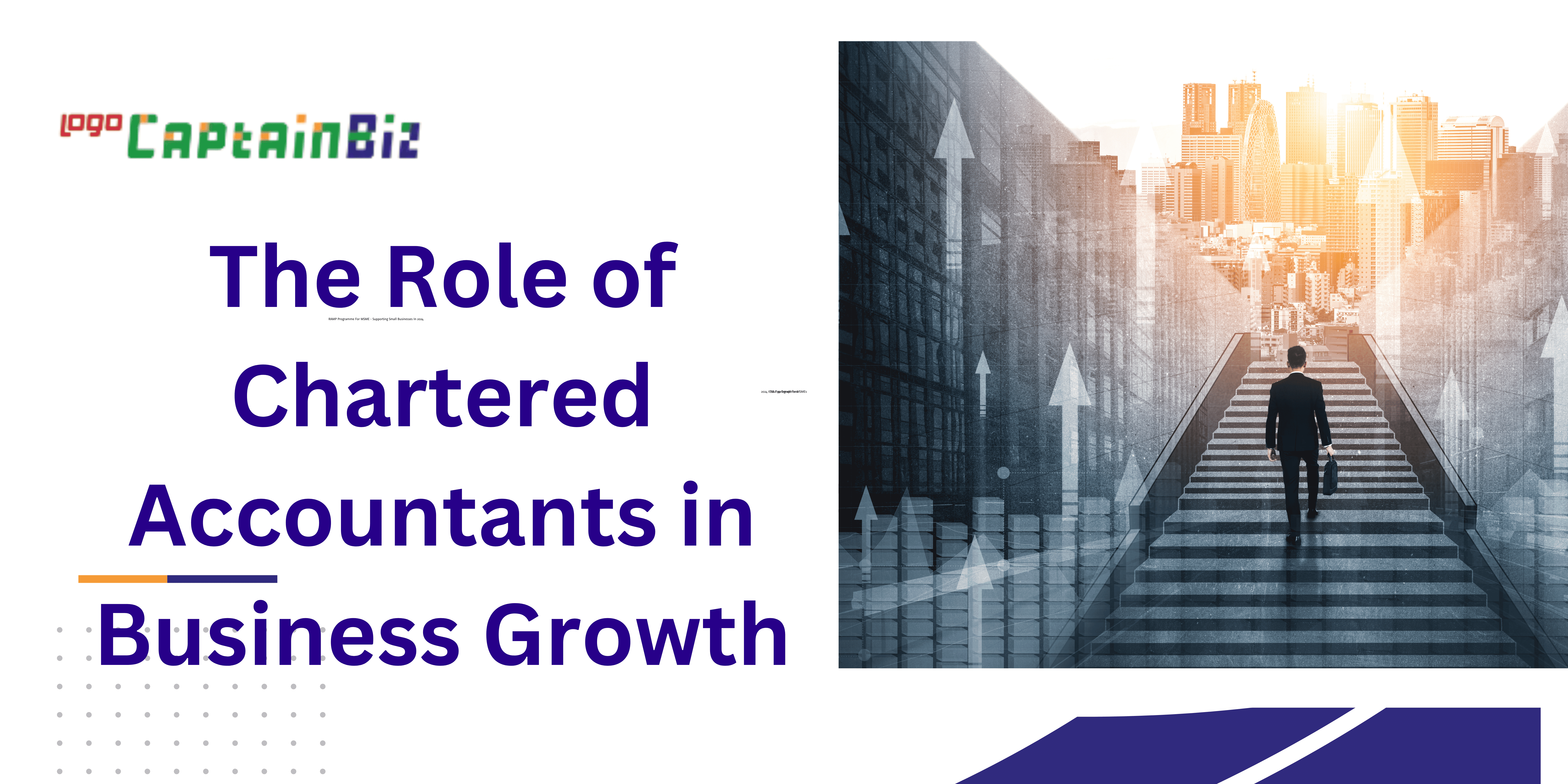 The Role of Chartered Accountants in Business Growth